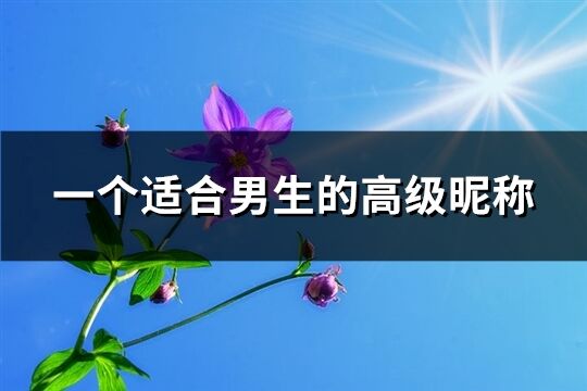 一个适合男生的高级昵称(共317个)