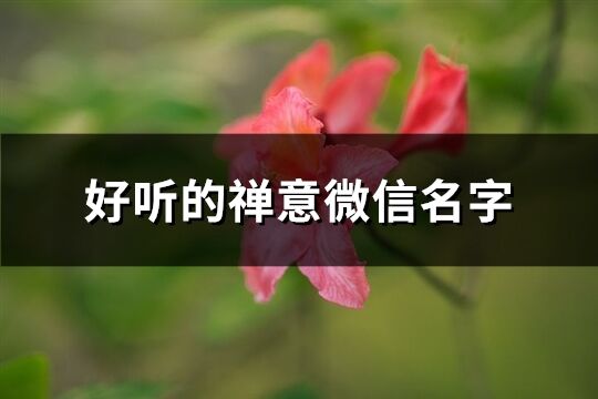 好听的禅意微信名字(111个)