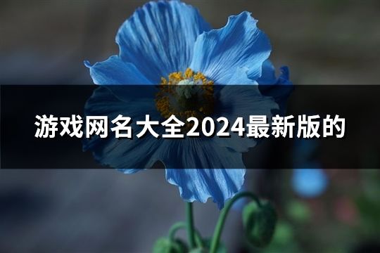 游戏网名大全2024最新版的(共240个)