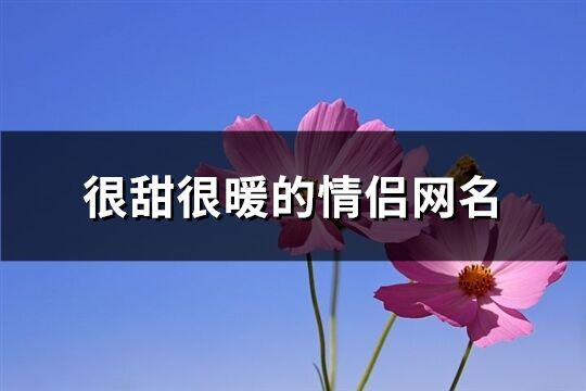 很甜很暖的情侣网名(91个)