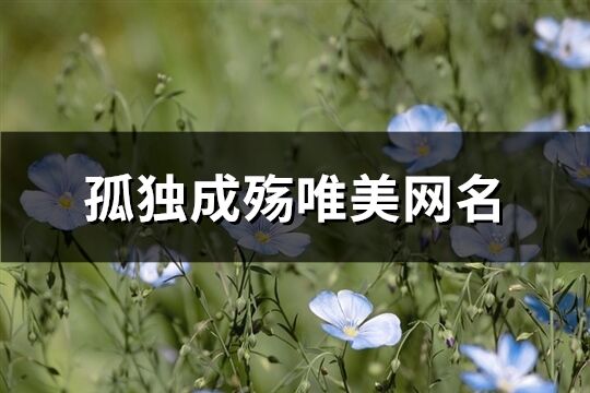 孤独成殇唯美网名(221个)