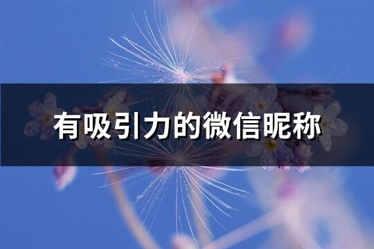 有吸引力的微信昵称(共583个)