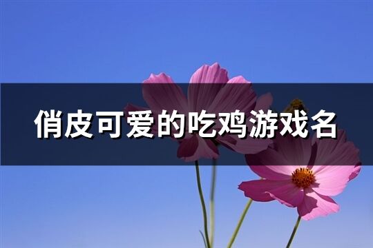 俏皮可爱的吃鸡游戏名(精选283个)