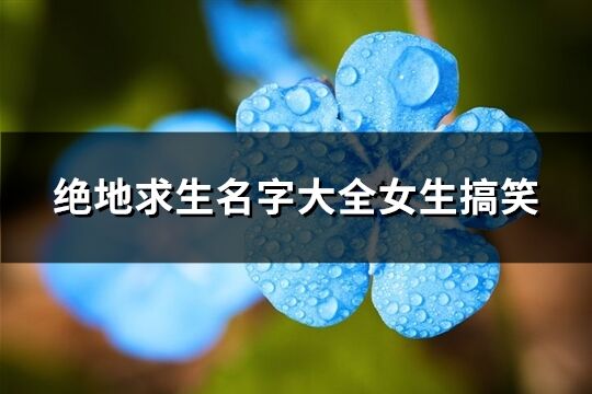 绝地求生名字大全女生搞笑(共120个)