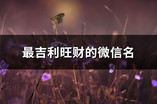 最吉利旺财的微信名(共623个)