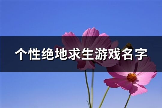 个性绝地求生游戏名字(1372个)