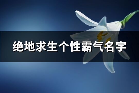 绝地求生个性霸气名字(共163个)