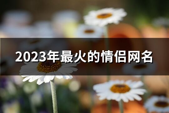 2023年最火的情侣网名(共324个)