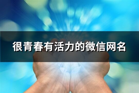 很青春有活力的微信网名(共446个)