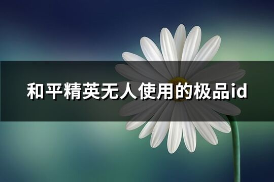 和平精英无人使用的极品id(精选67个)