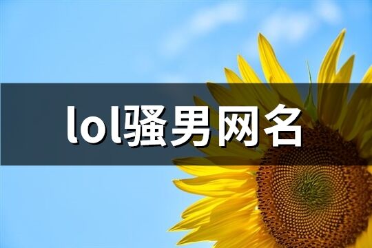 lol骚男网名(284个)