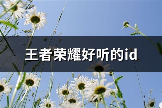 王者荣耀好听的id(精选1307个)