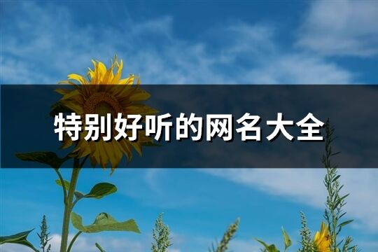 特别好听的网名大全(共1494个)