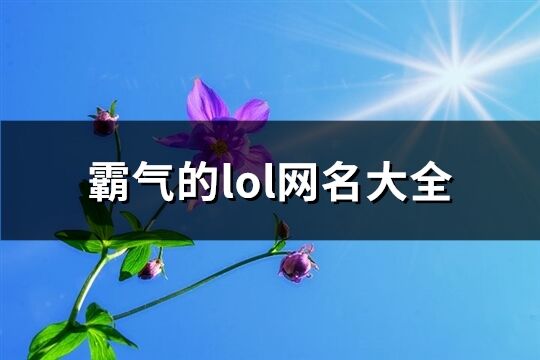 霸气的lol网名大全(共225个)