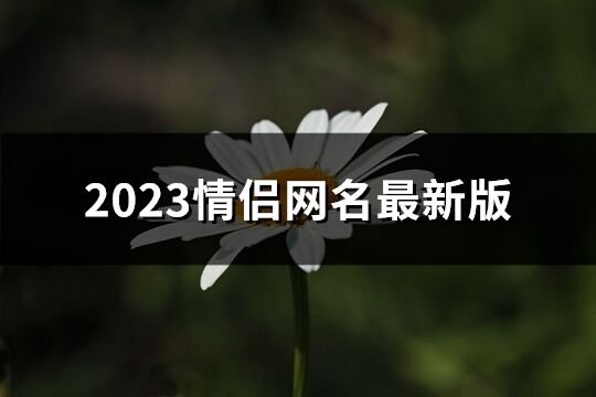 2023情侣网名最新版(123个)