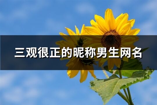 三观很正的昵称男生网名(精选195个)