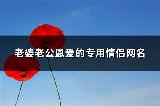 老婆老公恩爱的专用情侣网名(共85个)