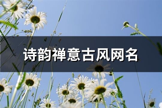 诗韵禅意古风网名(精选132个)