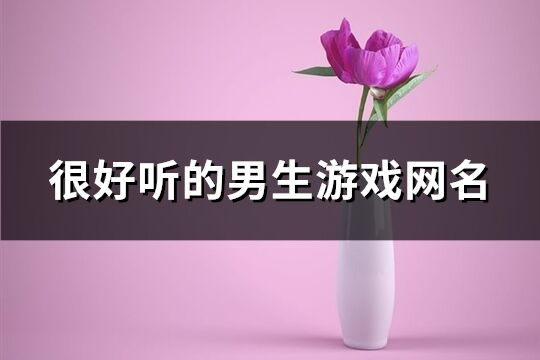 很好听的男生游戏网名(839个)