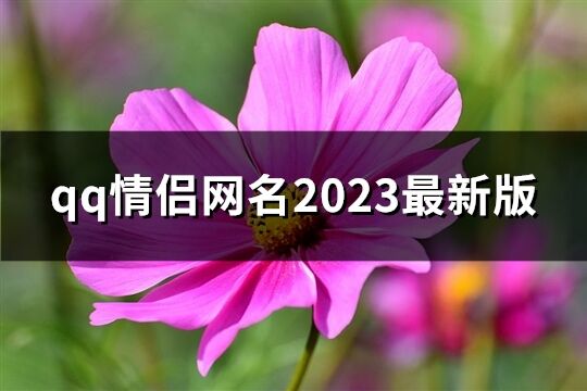 qq情侣网名2023最新版(共72个)