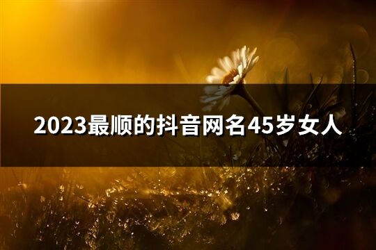 2023最顺的抖音网名45岁女人(共1243个)