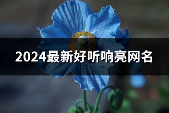 2024最新好听响亮网名(461个)