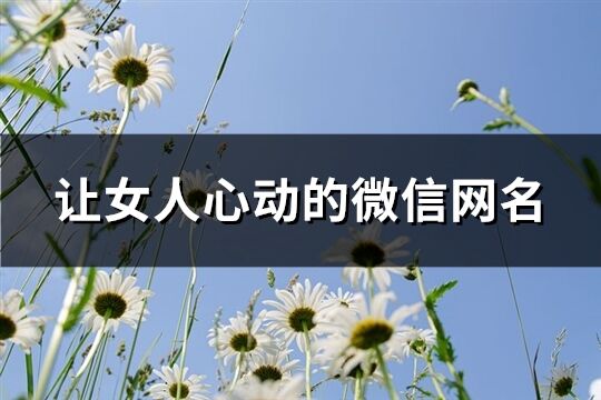 让女人心动的微信网名(659个)