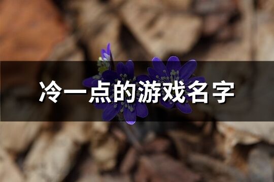 冷一点的游戏名字(共782个)