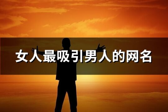 女人最吸引男人的网名(共274个)