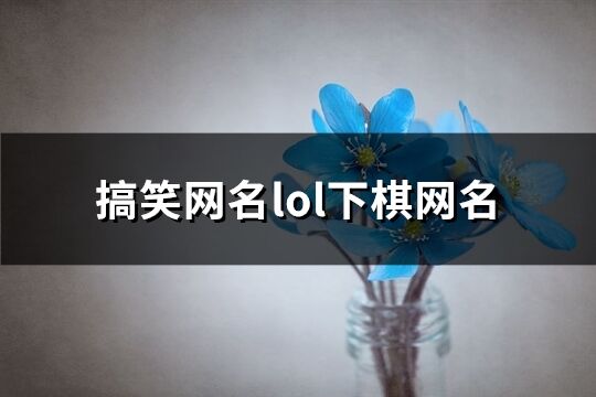 搞笑网名lol下棋网名(精选771个)