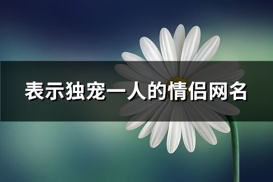 表示独宠一人的情侣网名(共61个)