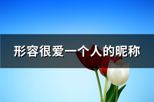 形容很爱一个人的昵称(共347个)