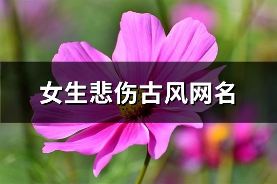 女生悲伤古风网名(精选618个)