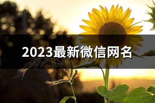 2023最新微信网名(精选260个)