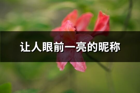 让人眼前一亮的昵称(精选87个)