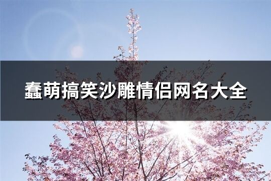 蠢萌搞笑沙雕情侣网名大全(共62个)