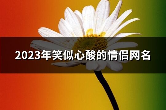 2023年笑似心酸的情侣网名(精选612个)