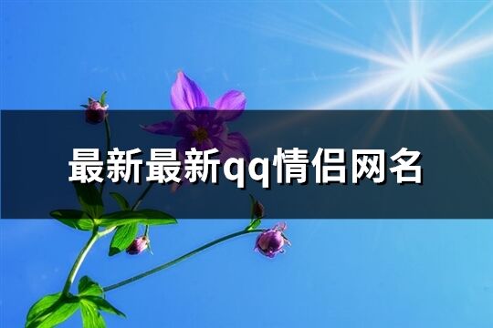 最新最新qq情侣网名(70个)