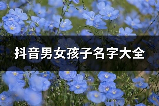 抖音男女孩子名字大全(共241个)