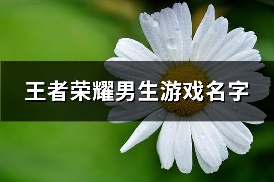 王者荣耀男生游戏名字(共356个)