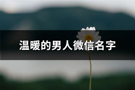 温暖的男人微信名字(327个)