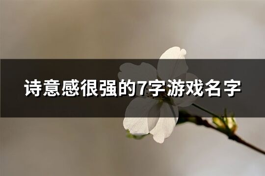 诗意感很强的7字游戏名字(共416个)