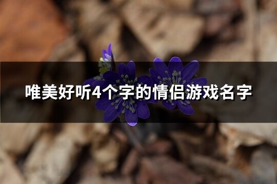 唯美好听4个字的情侣游戏名字(257个)