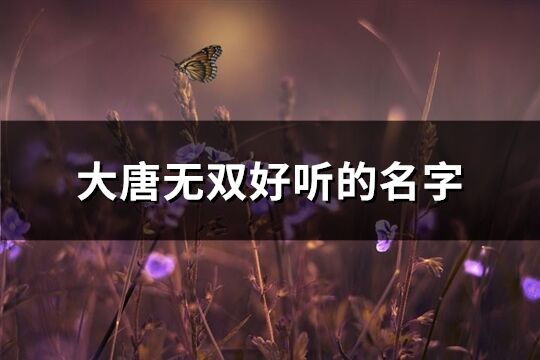 大唐无双好听的名字(306个)