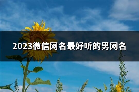 2023微信网名最好听的男网名(共2477个)