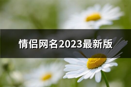 情侣网名2023最新版(407个)