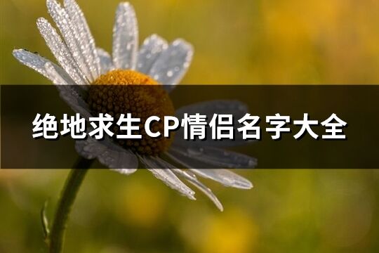 绝地求生CP情侣名字大全(共150个)