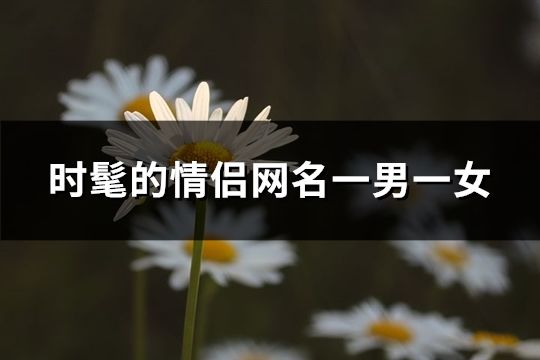 时髦的情侣网名一男一女(131对)