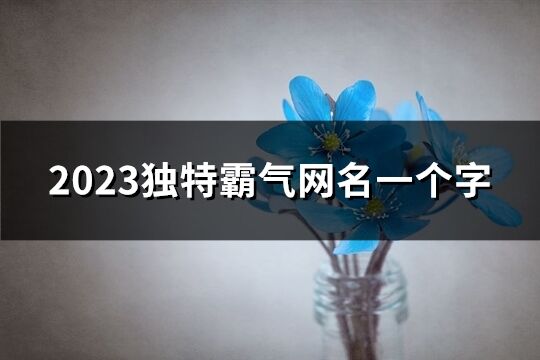 2023独特霸气网名一个字(精选70个)