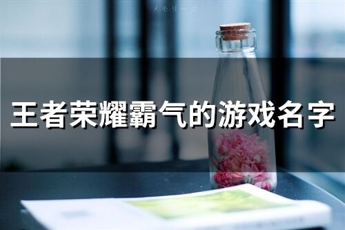 王者荣耀霸气的游戏名字(114个)